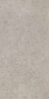 Риккарди серый светлый матовый обрезной 60х119,5