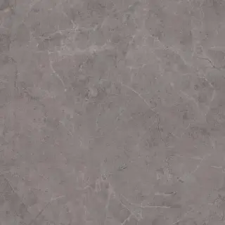 Гран Пале серый 50.2x50.2