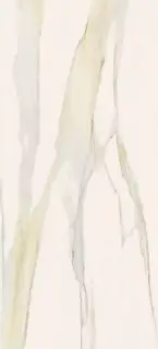 Calacatta Gold Glossy 120x280