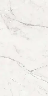 Aria Pol. XX 60х120