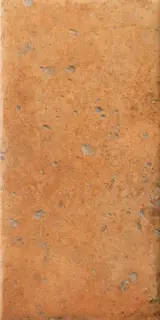 Cotto Del Campiano Giallo Umbria 20x40