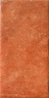 Cotto Del Campiano Rosso Siena 20x40