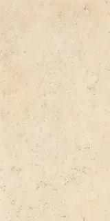 Marmo Primavera 60x120 