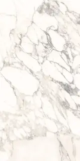 Arabescato Classico Luc |60x120