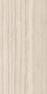 Travertino Silver Prelucidato (Soft) 60x120