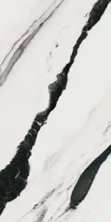 PAN WH6 12 LP |60x120