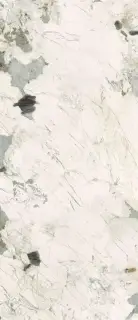 Pat Wh6 278 LP  120x278