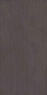 Walk Rigatino Graphite 60x120