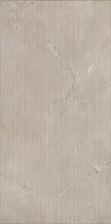 New Stone Lepre Rigatino 60x120