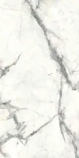 Charme Invisible Grey 60x120