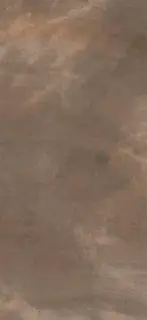 TREX6 260TO LP  120x260 XX