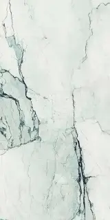 AE CAM6 278 LPM 120x278