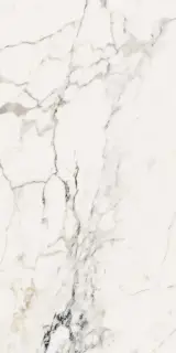 AE PAO6 12 LP |60x120