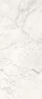 AE CAL6 278 LP 120x278