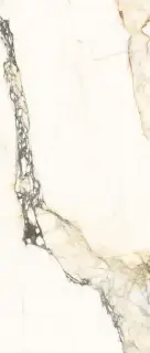 AE PAZ6 278 LPM  120x278