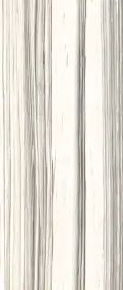 AE ZEB6 278 LP ZZ 120x278