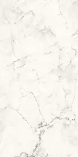 AE CAL6 12 RM |60x120