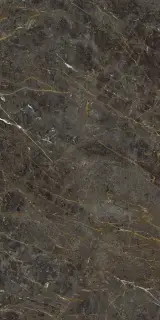 AE GOL6 12 LP 60x120