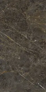 AE GOL6 12 RM 60x120