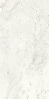 AE CAL6 12 LP |60x120