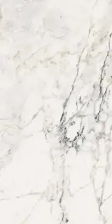 AE PAO6 12 RM |60x120