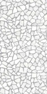 Гранит Герда Карнавал MR матовый XX 60x120