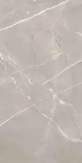 Armani Grey Satin 60x120