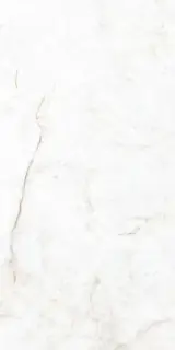 Crystal White Compacglass 60x120 Rec.