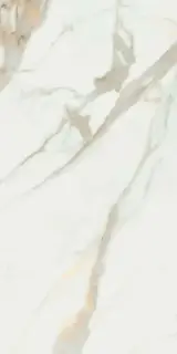 Calacata Gold  Compacglass 60x120 Rec.