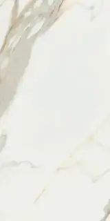 Calacata Gold  leviglass 60x120 Rec.