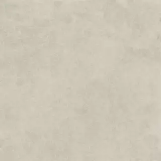 Фреджио серый светлый матовый ZZ|20x20