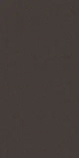 Surface Laboratory/Карбон серый темный ZZ|160x320