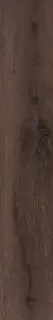 Арсенале коричневый обрезной  |20x119.5