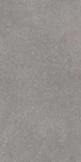 Роверелла пепельный обрезной  |60х119.5