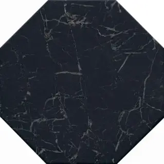 Сансеверо черный|24х24