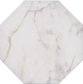 Сансеверо белый|24х24