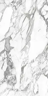 Керамогранит Platinum white PG 01 60х120 XX