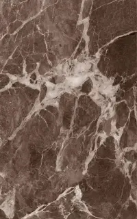 Капелла кор низ 04 25x40