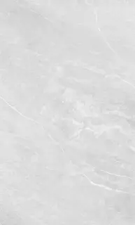 Magma grey wall 01 30x50