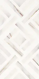 Rosso Venato Geometria 31.5x63