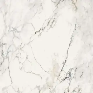 AE PAO6 120 RM (п.п.)ZZ |120x120