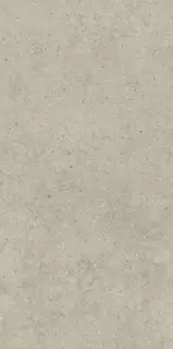 Italon Керамический гранит Forum Керамогранит Stone Desert 60x120 натуральный