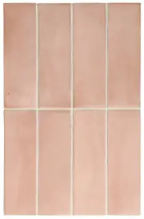 EQUIPE COCO ORCHARD PINK MATT 5х15 EQ-10D