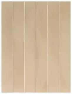 EQUIPE CORSICA GOLDEN CLAY 5х40 EQ-5