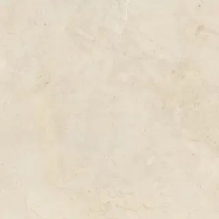 Biotech Crema Stone R+Ptv 9 Mm 120x120