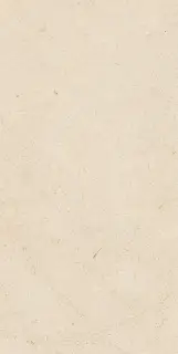 Biotech Crema Stone Nat 30x60