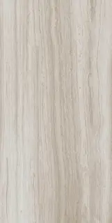 Biotech Stonewood Nat 30x60