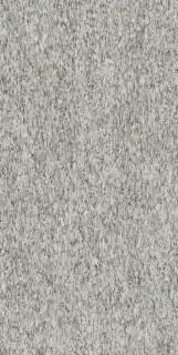Biotech Serizzo Stone Nat 30x60