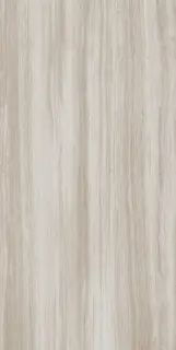 Biotech Stonewood R+Ptv 9 Mm 60x120