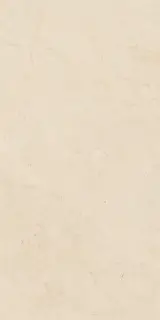 Biotech Crema Stone R+Ptv 9 Mm 60x120